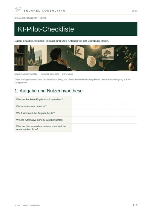 Titelseite: KI-Pilot-Checkliste